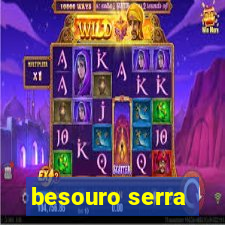 besouro serra-pau morde